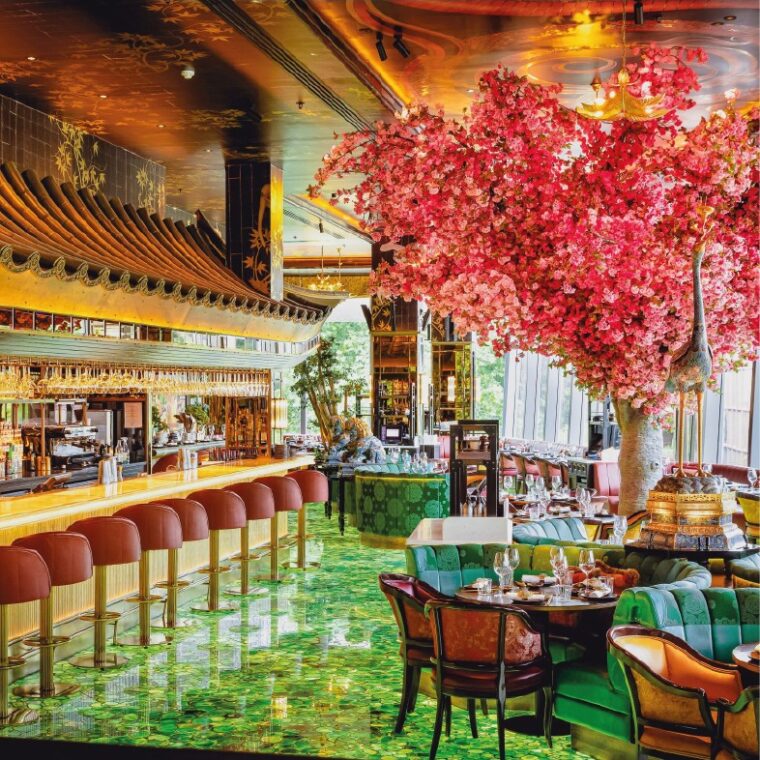Restaurants - Blossom tree overhanging the bar and resturant area